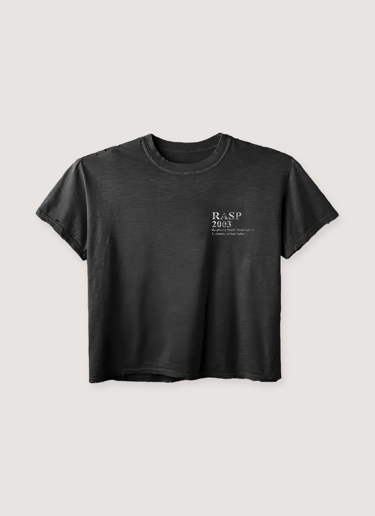 GV Gallery Raspberry Hills Music Tee Vintage Black | PIECES Los