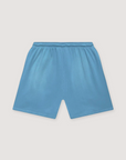 Hellstar Flame Shorts Baby Blue Black