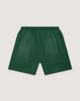 Hellstar Flame Shorts Green Orange