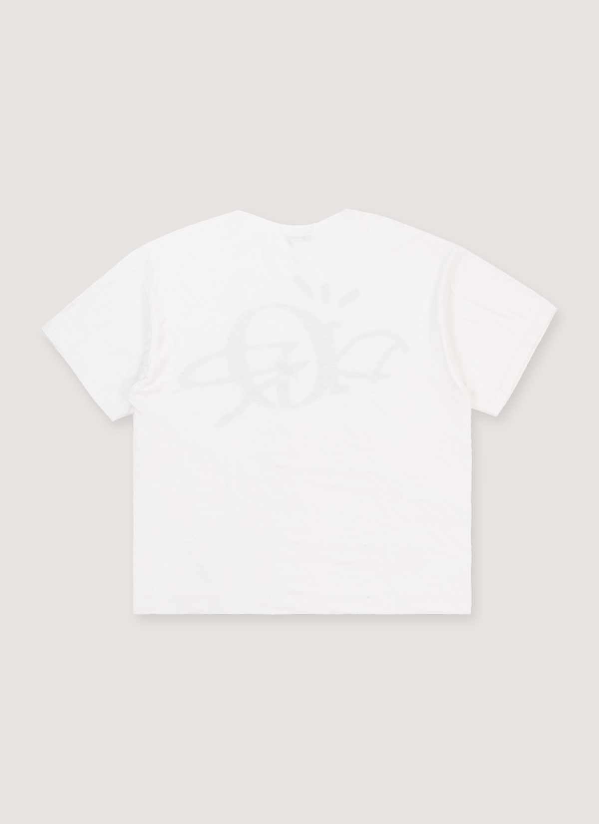 Travis Scott x Dior Cactus Jack Oversized Tee White Brown