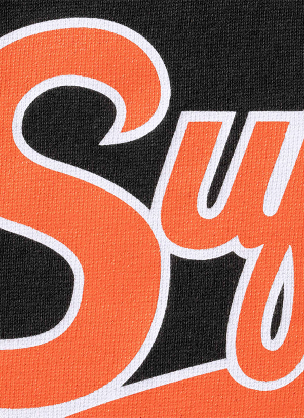 Supreme Tiger Raglan Longsleeve alternate view - Shop at Pieces Los Angeles