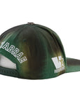 Vertabrae Snapback Hat Verde