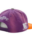 Vertabrae Snapback Hat Sunset