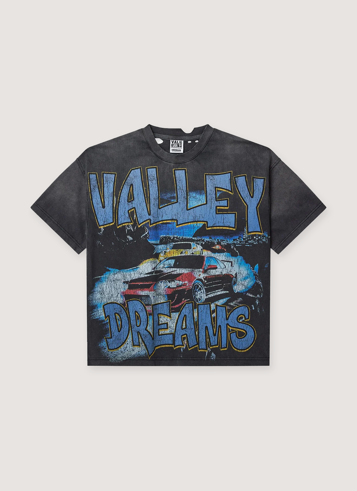 Vale Forever Mt. Akina Tee Vintage Black