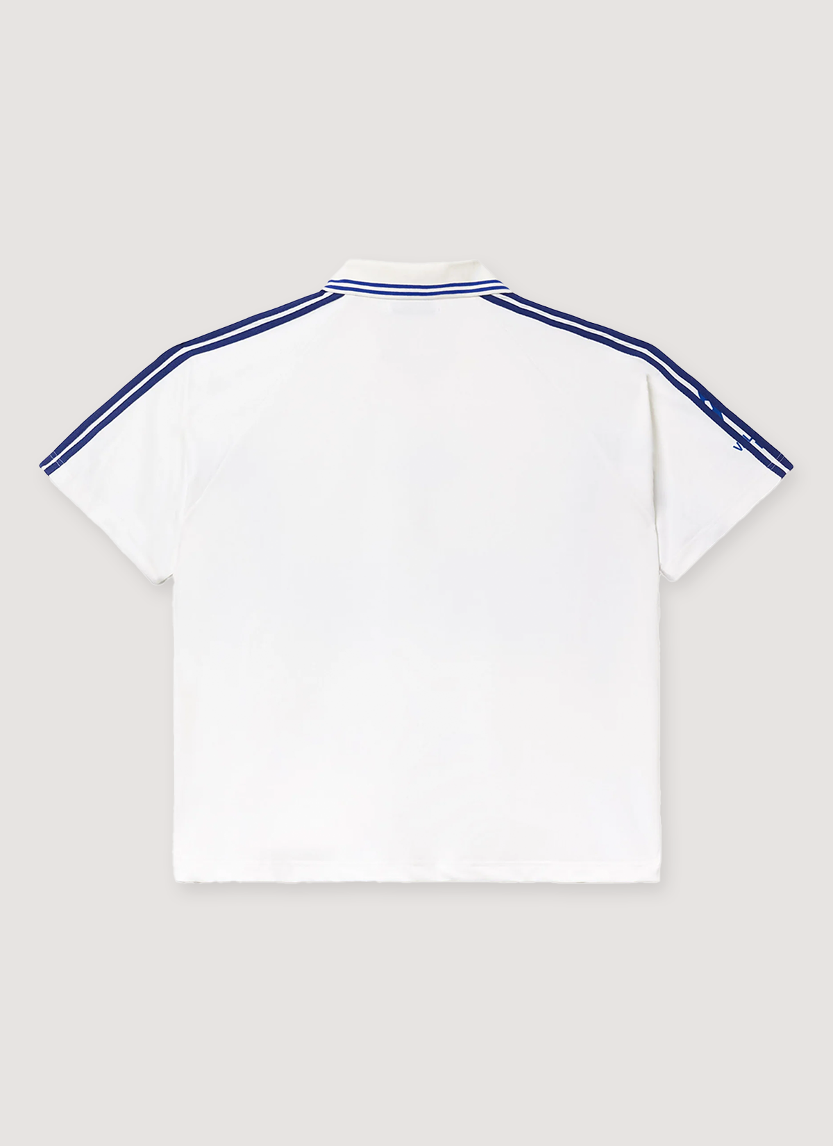 Vale Forever Alpine Polo White tee shirt with blue text and design back view