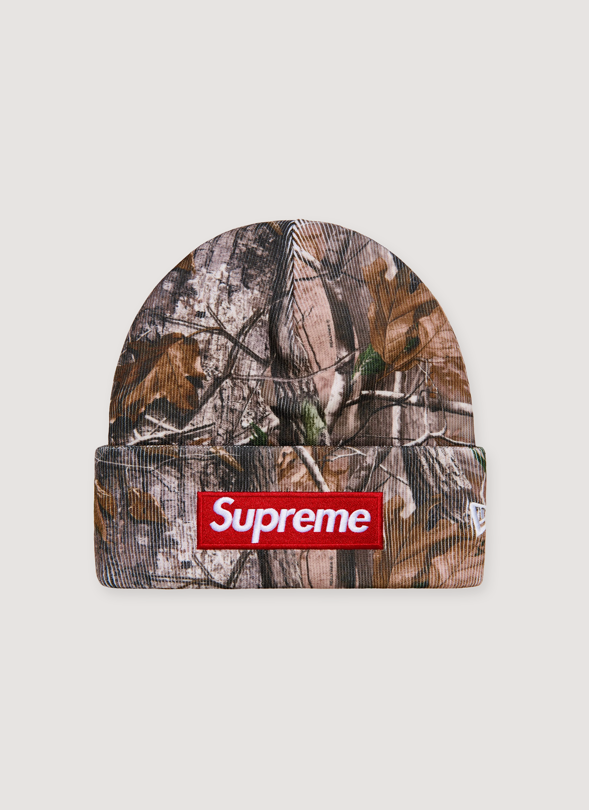 Box Logo Beanie (2025)