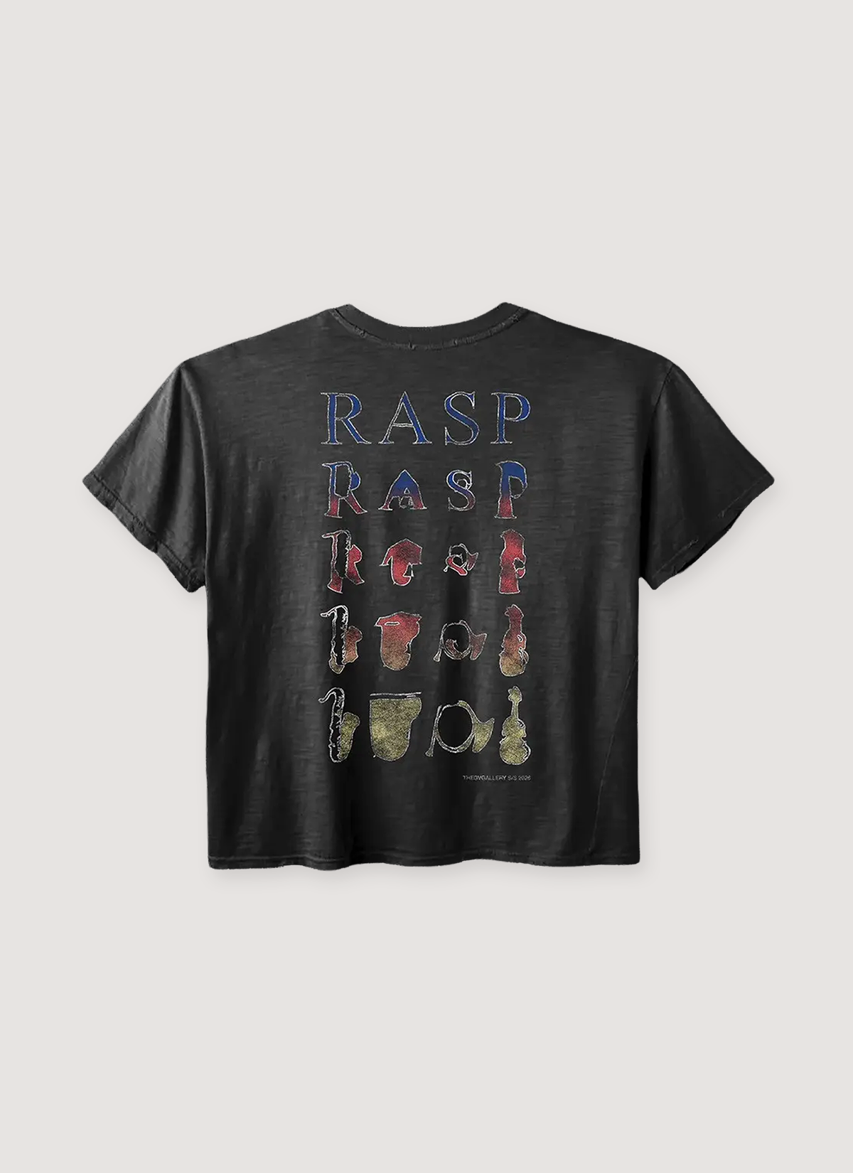 【最終値下げ】raspberrypie Tシャツ 商品詳細ページ | クリープハイプ オンラインショップ | 生レバ食べ隊T