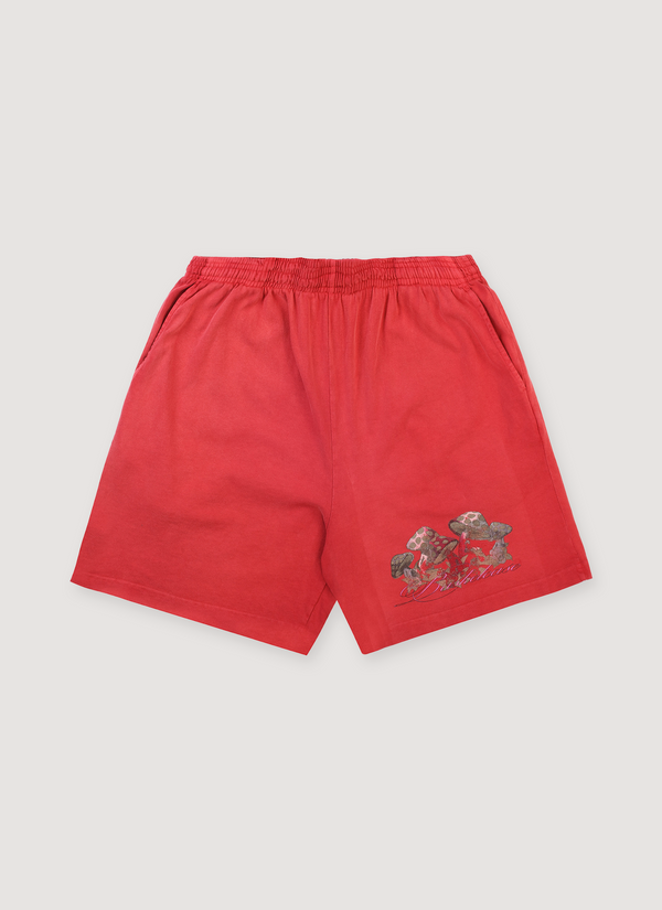 Basketcase Gallery Poison Shorts Red Poison Shorts Red - Authenticated Shorts | Pieces Los Angeles