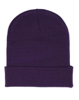 Sp5der Worldwide Web Beanie Purple