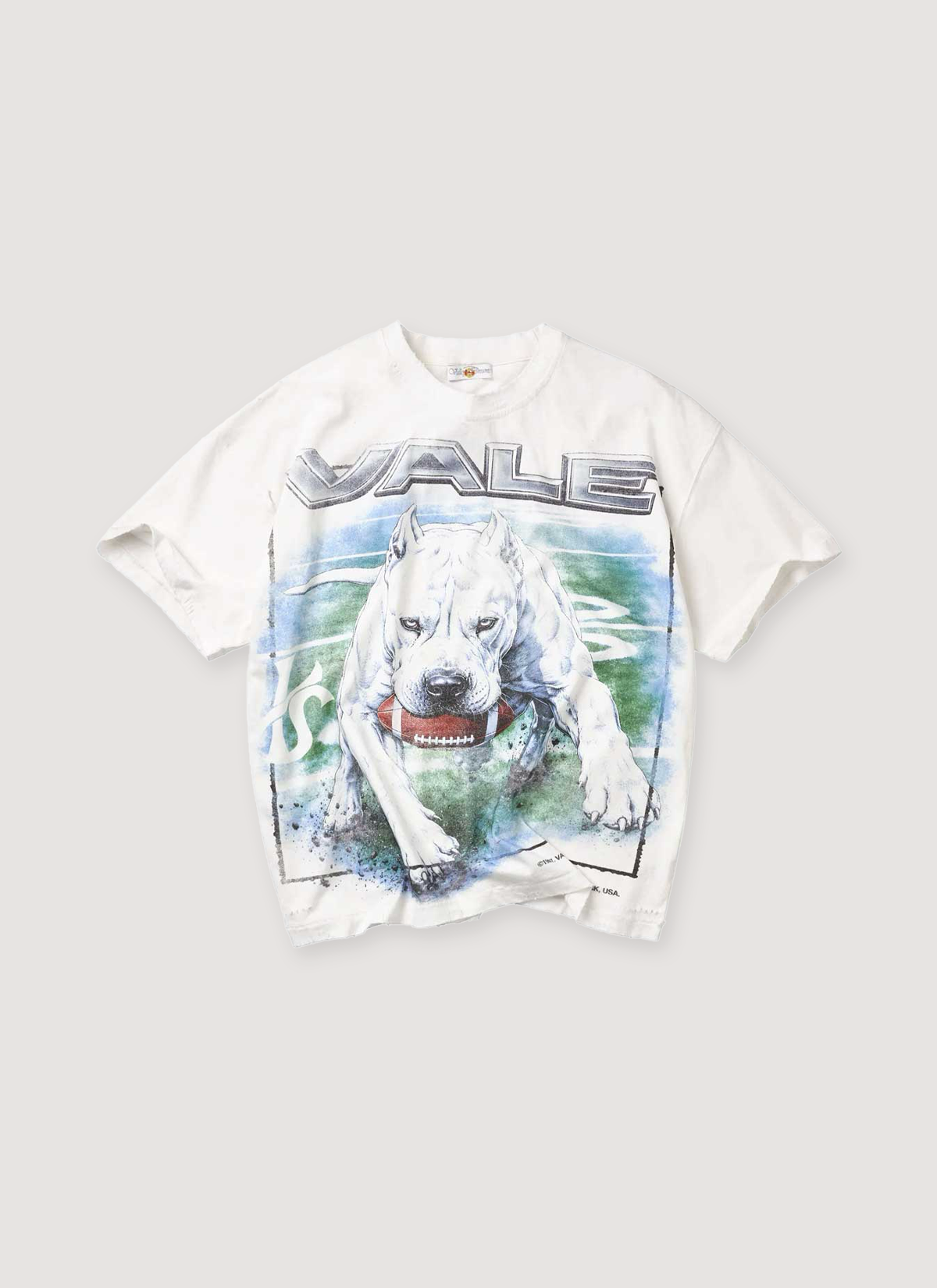Vale Forever Cane Tee Vintage White