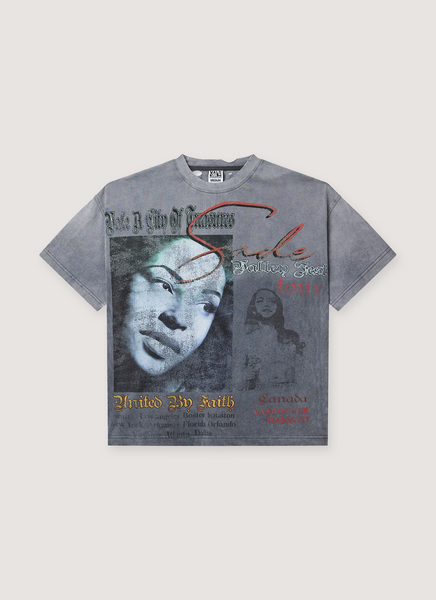 vt-grey_grande.png?v=1761252250